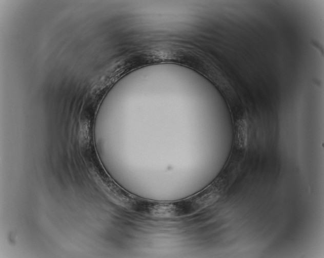 X0000103450410200809261822