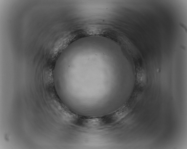 X0000103450411200809261822