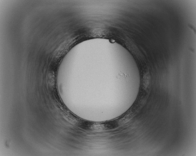 X0000103450413200809261822