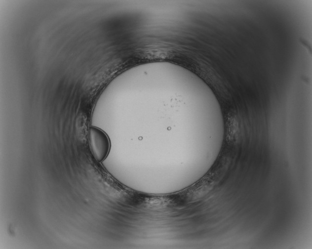 X0000103450414200809261822