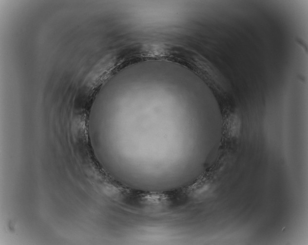 X0000103450415200809261822