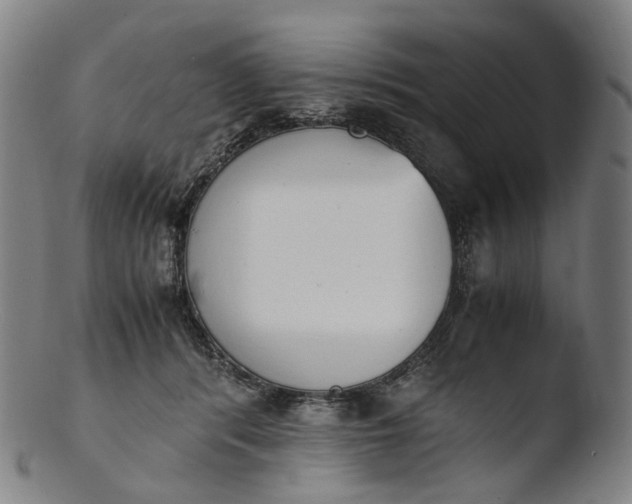 X0000103450416200809261821