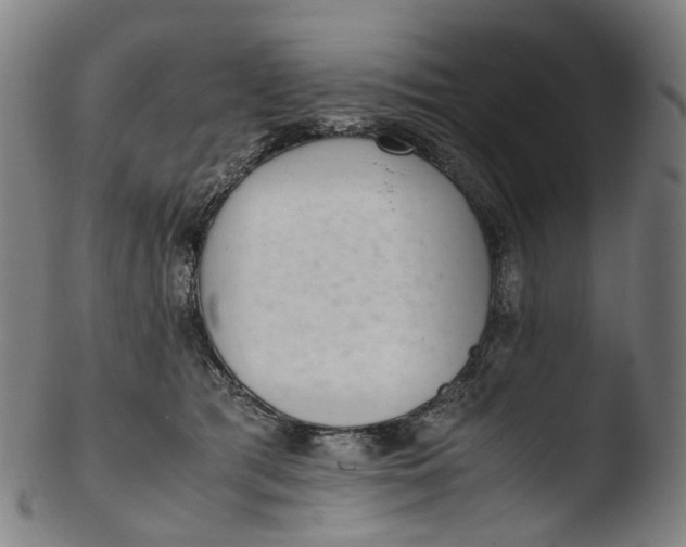 X0000103450417200809261821