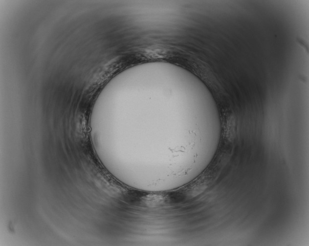 X0000103450418200809261821