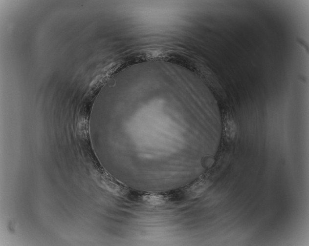 X0000103450419200809261821