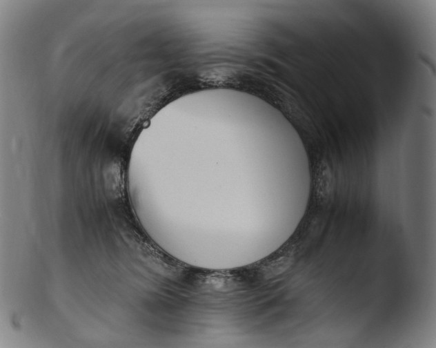 X0000103450420200809261821