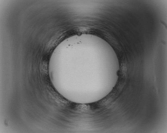 X0000103450421200809261821