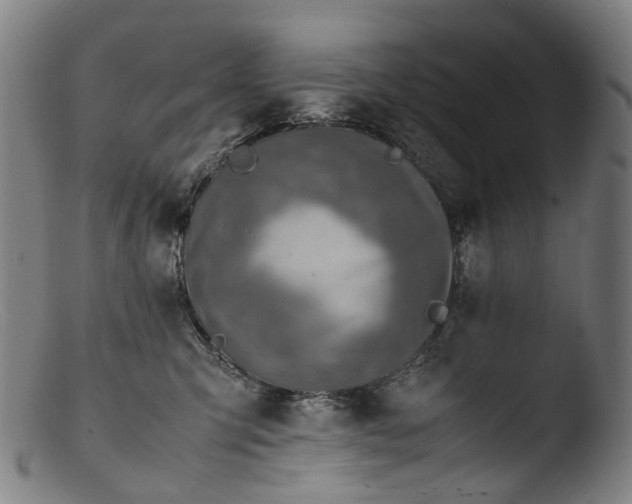 X0000103450423200809261821