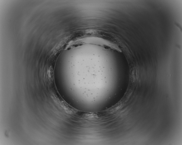 X0000103450424200809261821