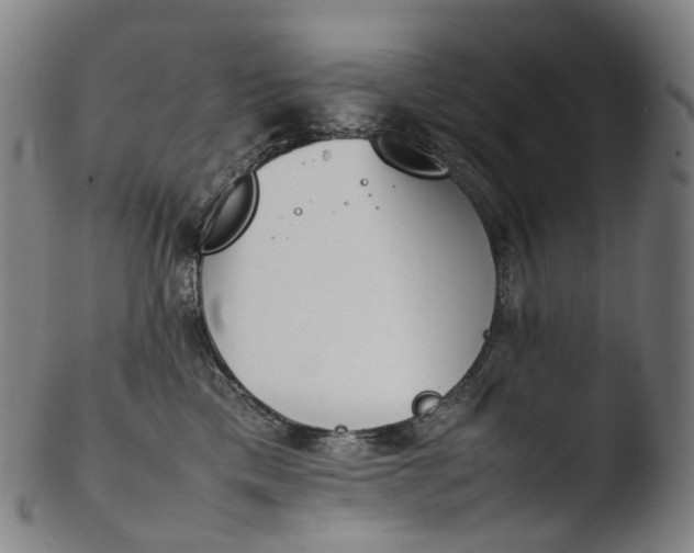 X0000103450425200809261821