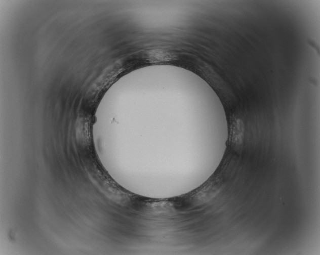 X0000103450426200809261821