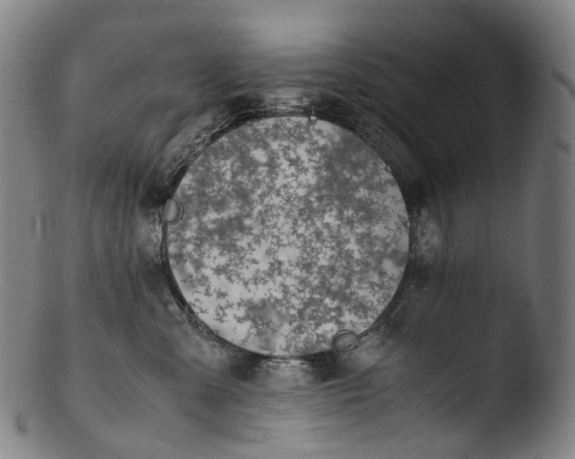 X0000103450427200809261821