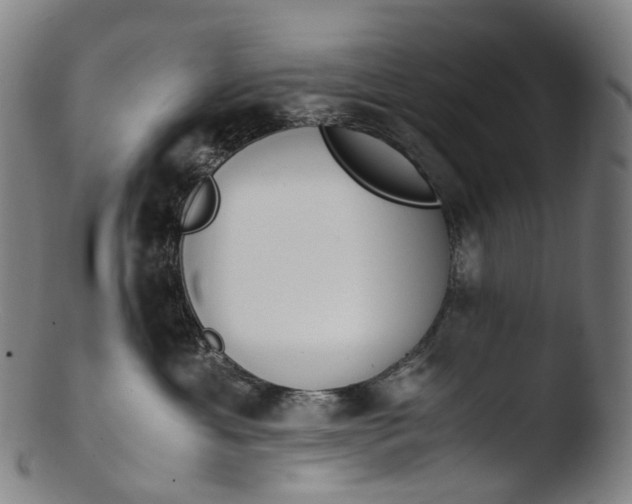 X0000103450429200809261821