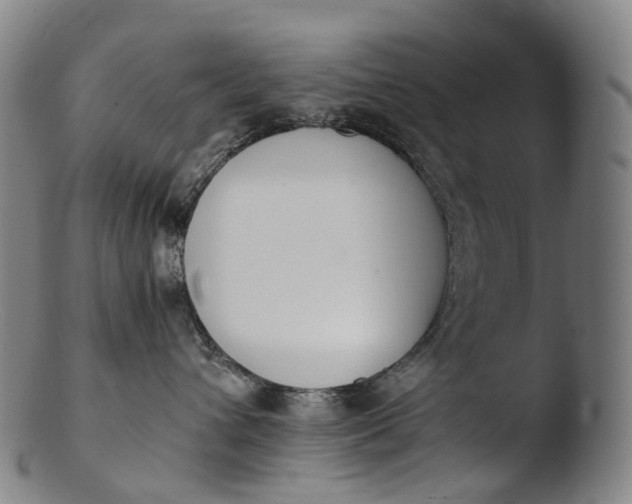 X0000103450432200809261821