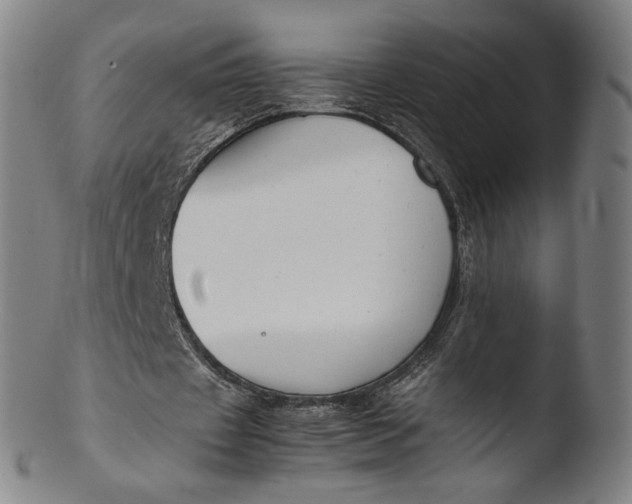 X0000103450433200809261820