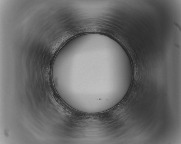 X0000103450434200809261820