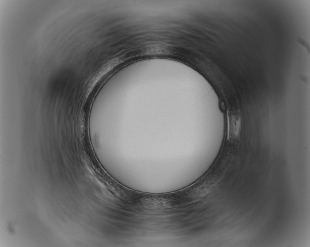 X0000103450435200809261820