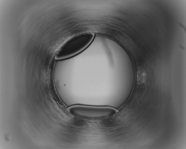 X0000103450436200809261820