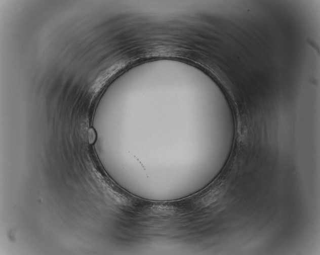 X0000103450437200809261820