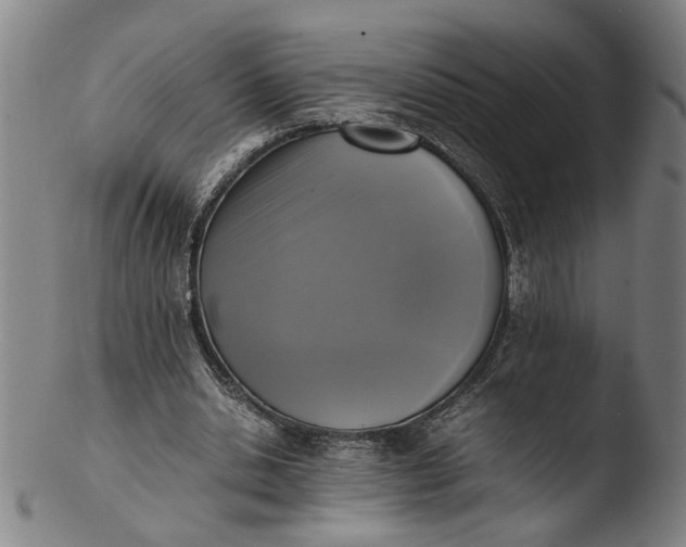 X0000103450438200809261821