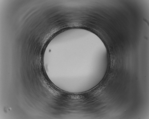 X0000103450439200809261821