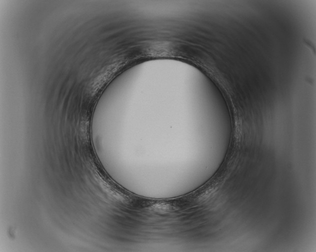 X0000103450441200809261821