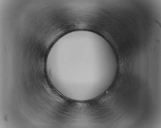 X0000103450442200809261821