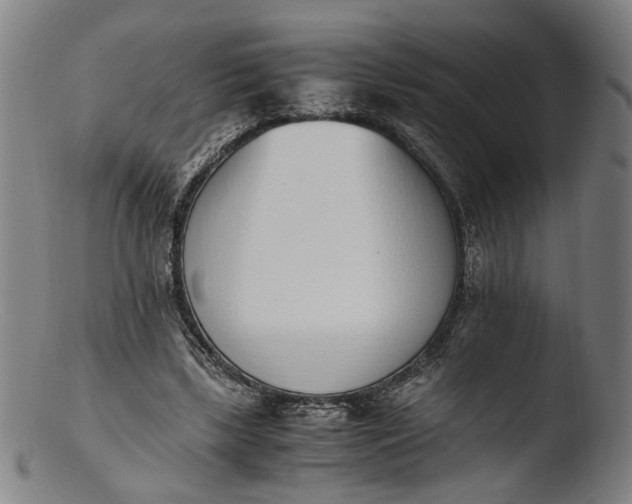 X0000103450443200809261821