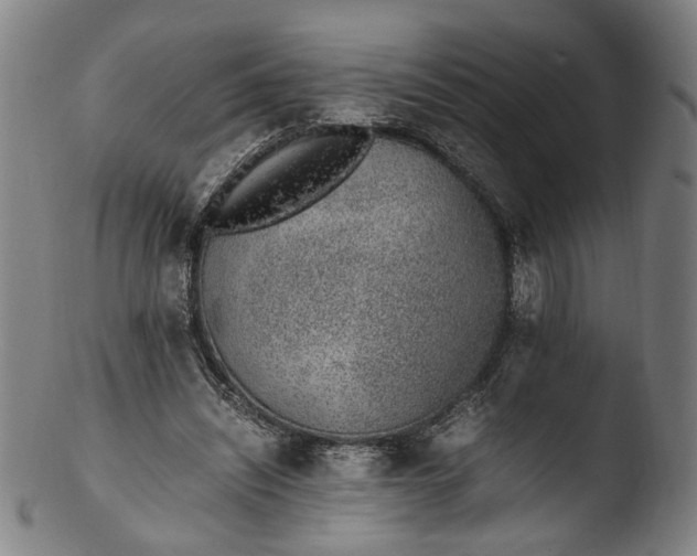 X0000103450444200809261821