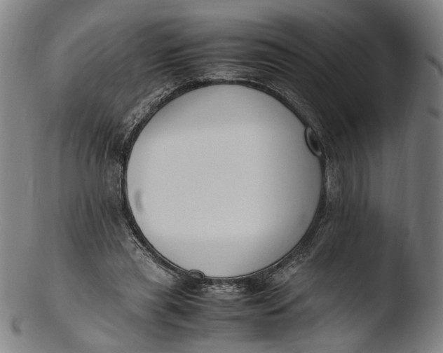 X0000103450445200809261821