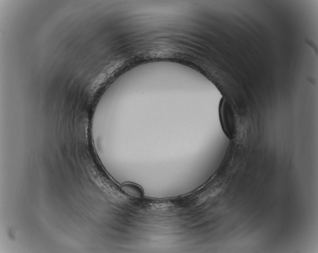 X0000103450446200809261821