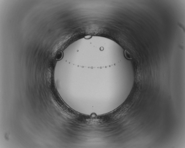 X0000103450448200809261821