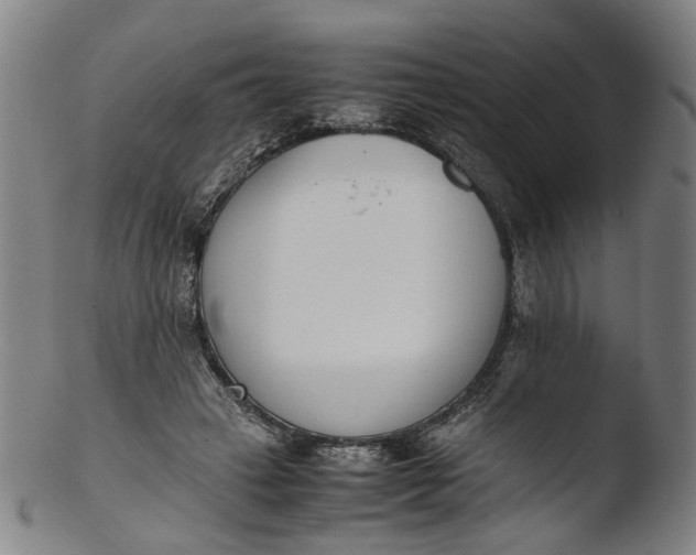 X0000103450449200809261821