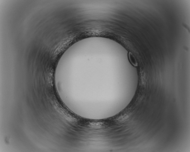 X0000103450450200809261821