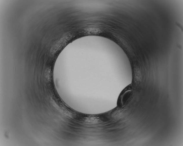 X0000103450451200809261821