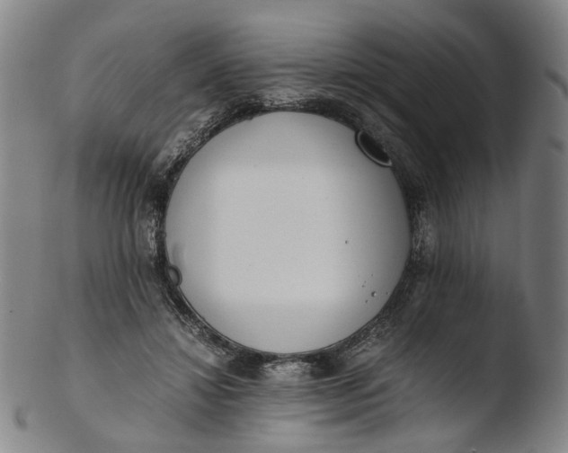 X0000103450452200809261821