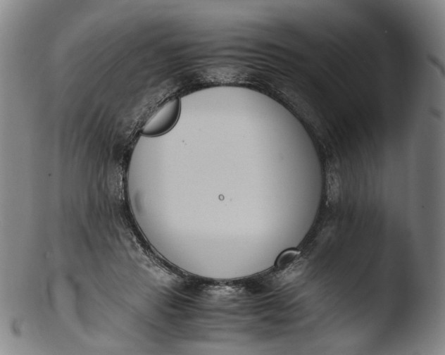 X0000103450453200809261821