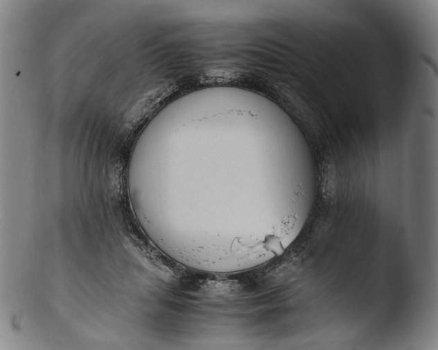 X0000103450455200809261821