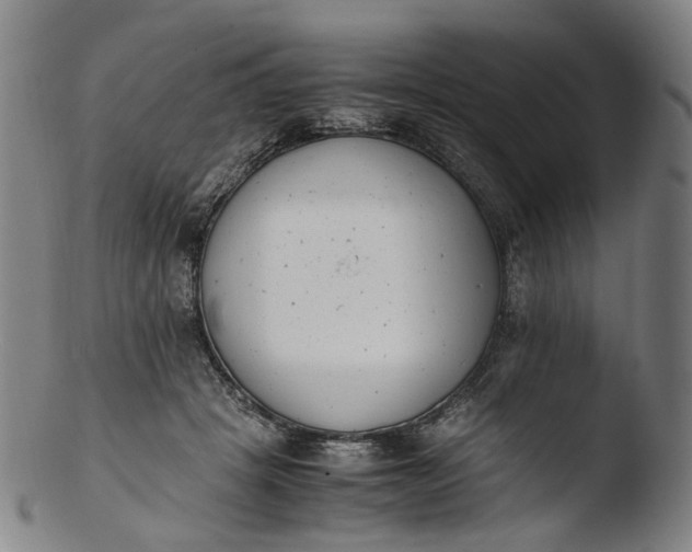 X0000103450457200809261821