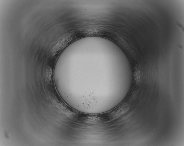 X0000103450458200809261821