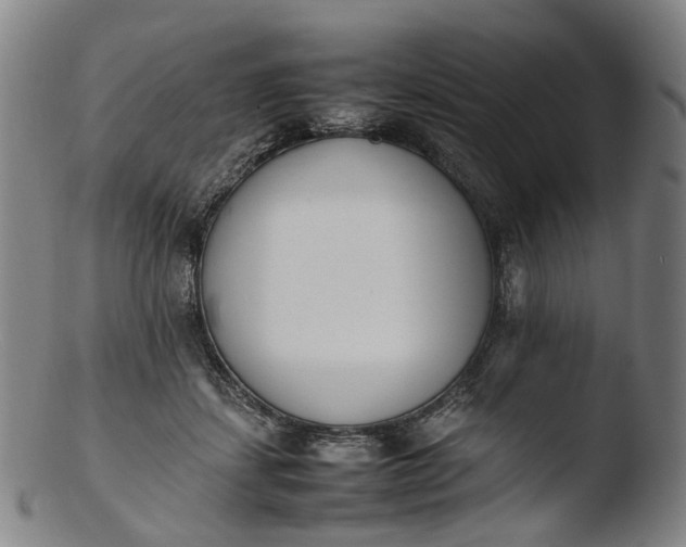 X0000103450459200809261821