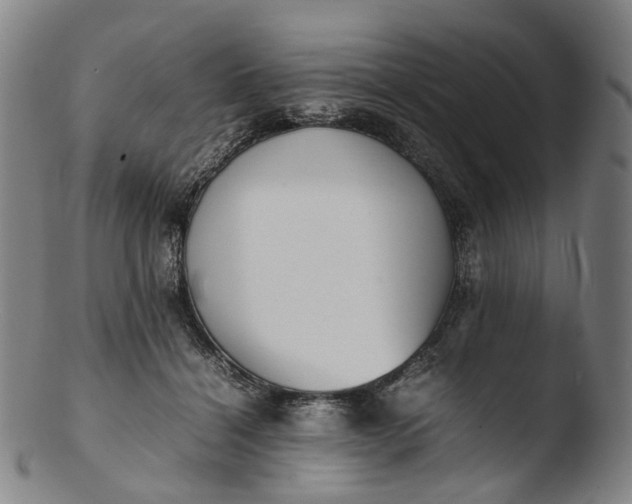 X0000103450460200809261821