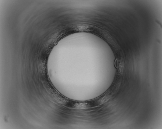 X0000103450461200809261821