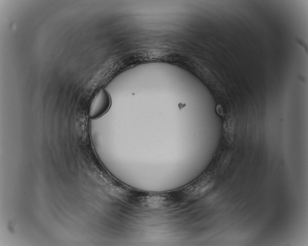 X0000103450462200809261821