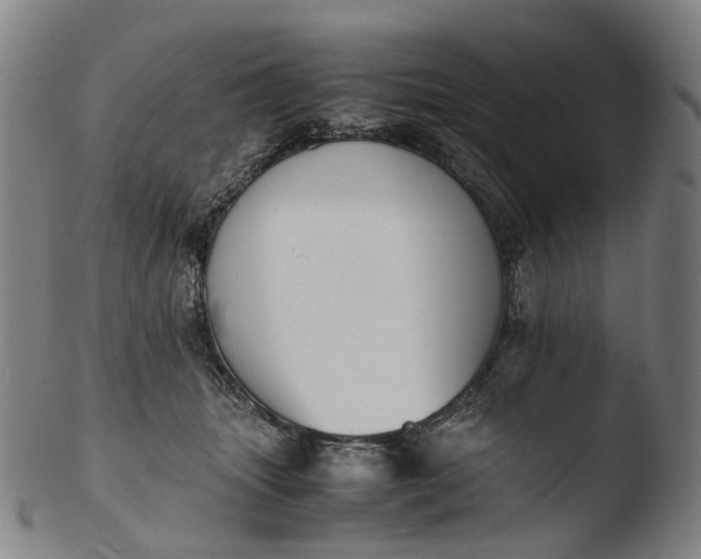 X0000103450463200809261821