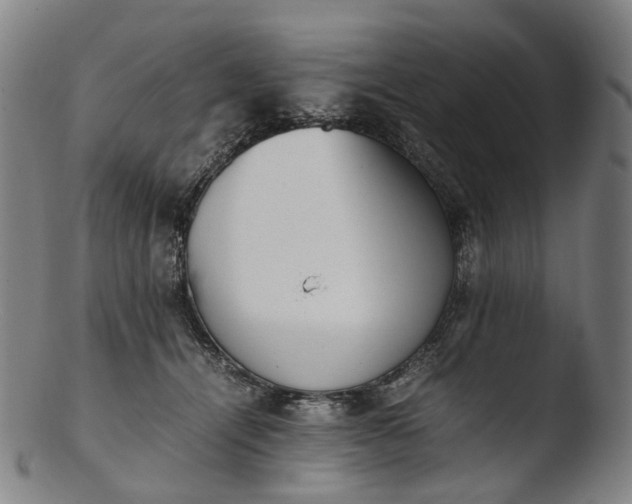 X0000103450464200809261821