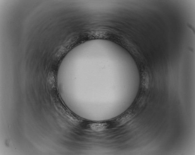 X0000103450465200809261821