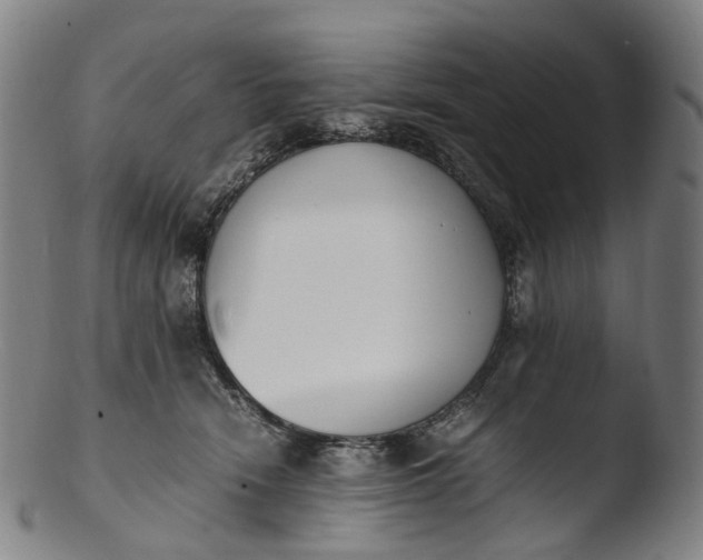 X0000103450466200809261821