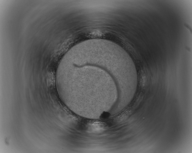 X0000103450467200809261821