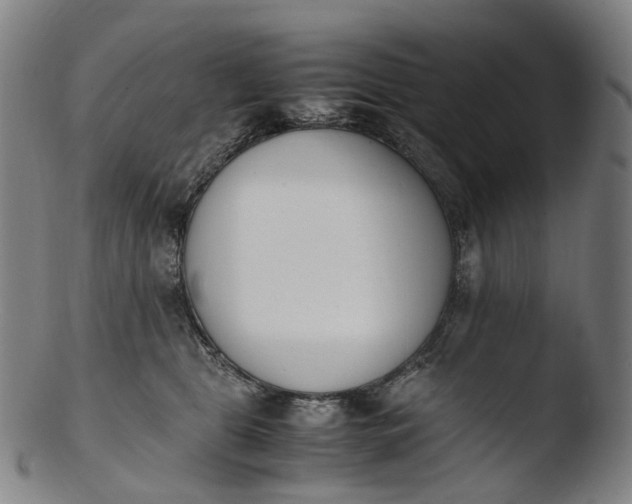 X0000103450469200809261821